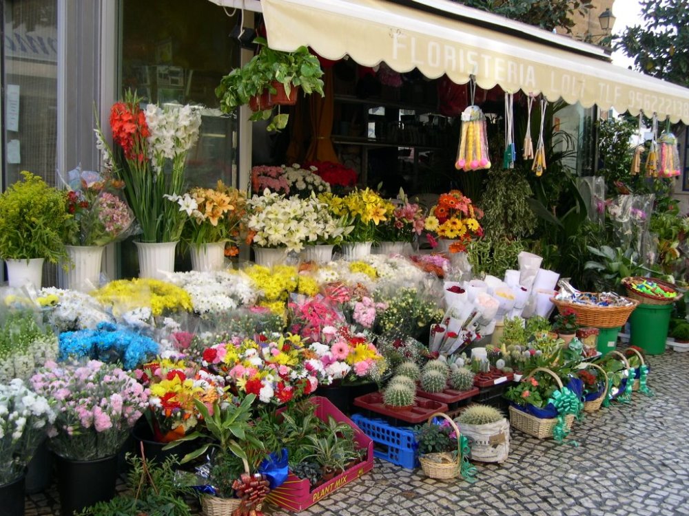 Plaza-de-las-flores-Cádiz